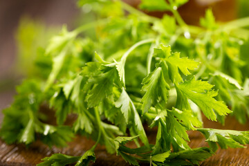 Fresh italian parsley on the table. Green parsley.