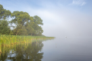 Mystical landscape. Fog in the early morning on the river. The trees near the water are illuminated by the rays of the rising sun.
