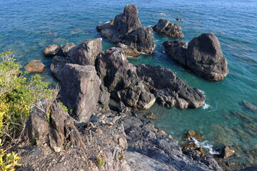 五色の浜　伊坂ノ鼻　春　（高知県　土佐市）