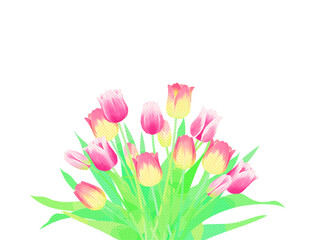 ピンクのチューリップのイラスト、フレーム、手描き
