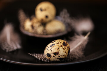 Quail eggs with feathers in a black ceramic plate on a black slate background.Organic Farm natural...