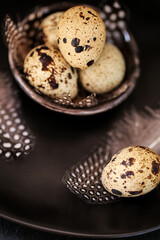 Quail eggs with feathers in a black ceramic plate on a black slate background.Organic Farm natural quail eggs set.natural protein.Useful healthy food and products. 