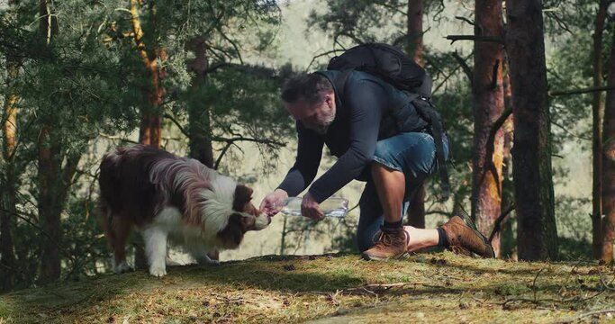 A man on a hike in the woods gives a drink from a bottle to his Australian Shepherd