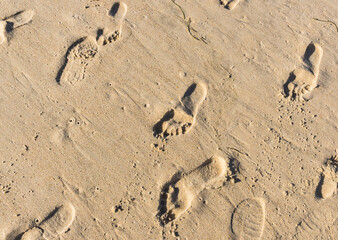 Footprints in the sand going all directions, barefoot and with shoes.