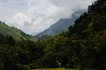 Fototapeta na wymiar tropical landscape with some mountains in Colombia, conservation of natural spaces