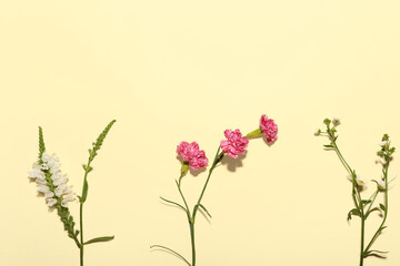 Set of different flowers on color background