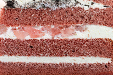section of a multilayer cake as background and texture