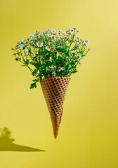 Creative layout and composition of waffle cone and chamomile on yellow background. Levitation