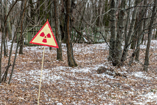Radiation hazard sign in Chornobyl forest