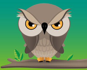 Owl on a branch in the forest