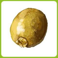 手描き水彩のキウイイラスト
