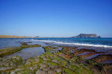 Fototapeta na wymiar fine view with mossy rock beach 