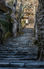 jakouin temple in ohra village,kyoto japan