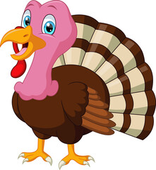 Happy turkey bird cartoon on white background