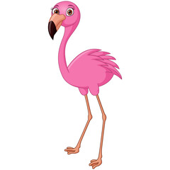 Cute flamingo cartoon on white background