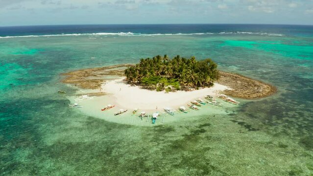 Tropical island with sand beach, palm trees by atoll with coral reef, top view. Guyam island, Philippines, Siargao. Summer and travel vacation concept.