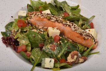 salad with salmon, cheese, and various seeds