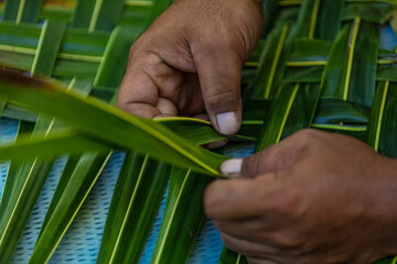 Tressage de palme de cocotier en Polynésie 