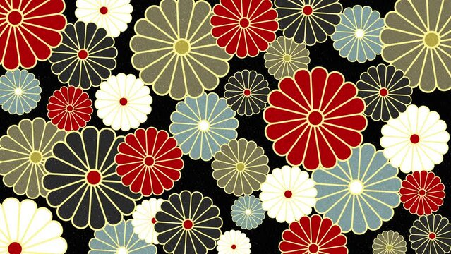 和柄 花 菊 豪華 着物 BG24_01