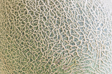 メロンの表面の網目模様のアップ