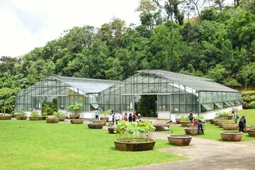 Fototapeta na wymiar Queen Sirikit Botanic Garden is Thailand's biggest glasshouse complex.