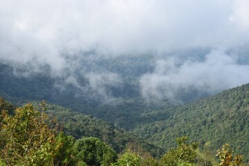 Panoramic view from Doi Inthanon, The highest mountain in Thailand is a popular tourist destination for both foreign and Thai tourists.