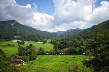 Green rice fields of Ban Mae Klang Luang village in Chiangmai province, Thailand.