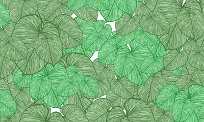 green  tropical  leaves spring pattern ,hand  drawn illustration   wallpaper background