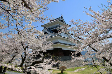 上山城の桜（山形県・上山市）