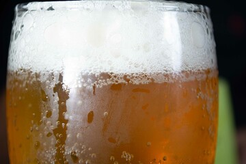 drink, drinks, tragos, aperol, martini, naranja, orange, lemmon, limon, lima, lime, mint, menta,...