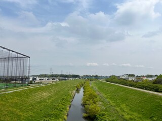 greenhouse with plants