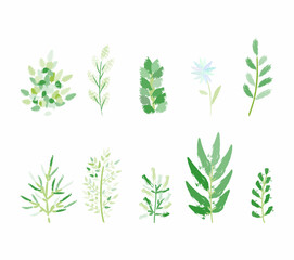 green floral branch  isolated vector set