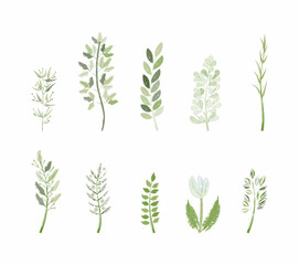 green floral branch  isolated vector set
