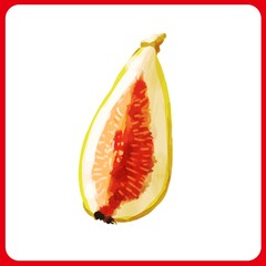 手描き水彩厚塗りのくし形切りいちじくイラスト