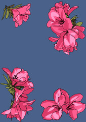 山茶花