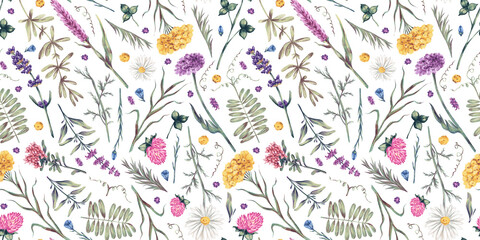 Watercolor hand drawn seamless pattern with illustration of wild flowers. Floral elements clover, lavender, herbs isolated on white background. Beautiful meadow flowers collection