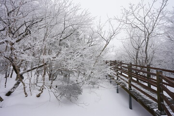 fine snowy view with walkway