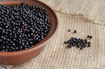 Ripe black elderberries in a brown bowl. Clay bowl on top of the burlap. Sambucus nigra.