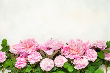 Naklejka na ściany i meble Pink peony and roses Flowers in a frame on a bright background. Top view. Flat lay