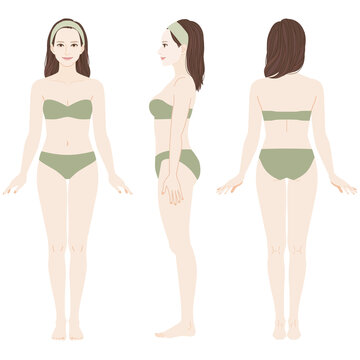 ［Full-body illustration of a woman］This woman's body has the center of gravity above. The waist and bust are high. The joints and below the knees are thin. She is wearing underwear.Front, Side, Rear