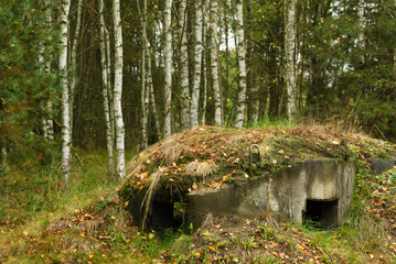 Soviet era concrete bunker concealed in a birch forest, Czech Republic