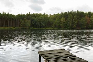 Aged wooden pier by european lake in woods