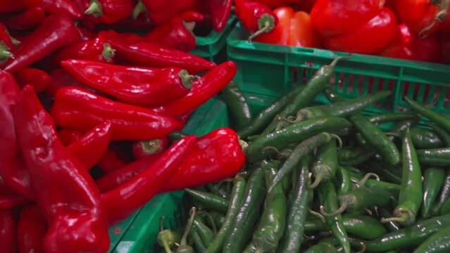 Green and red pepper in grocery store. Industry of selling products