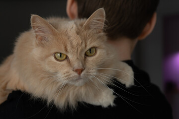portrait of a cat sitting on thshoulder of her owner