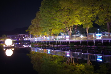 나이트, 강, 도시, 교량, h2o, 건축, 라이트, 라이트, 건물, 경관, 도시, 여행,...