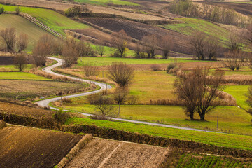 Countryside landscape of plowed fields. Green grass, trees and beautiful winding road. Ponidzie. Poland - obrazy, fototapety, plakaty