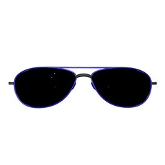 Aviators sunglasses with navy frames	