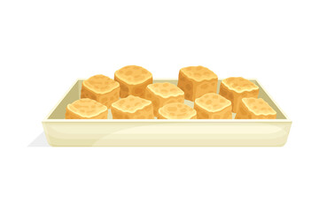 Cubes of Fried or Roasted Tofu or Soy Bean Curd on Plate as Product from Edible Legume Plant Vector Illustration