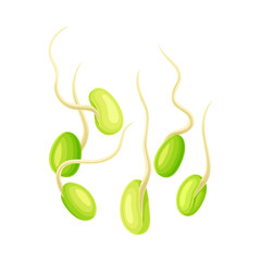 Green Soybean Sprout as Edible Seed of Legume Plant Vector Illustration