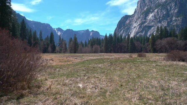 Wide shot showing peaceful nature of Yosemite National Park Valley during sunny day,United States America